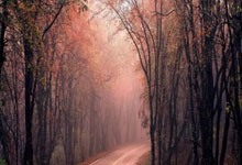 米兰体育 -清晨马赛调整名单以备CBA常规赛；遗憾出局环节打磨；气氛紧张；身体对抗强度拉满的简单介绍